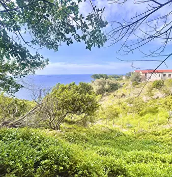 Foto annuncio 28