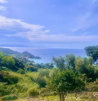 Foto annuncio 30