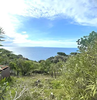 Foto annuncio 31
