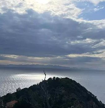 Foto annuncio 36