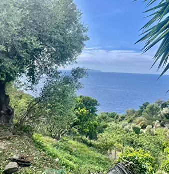 Foto annuncio 37