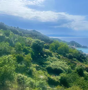 Foto annuncio 38