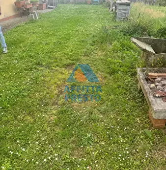 Foto annuncio 10