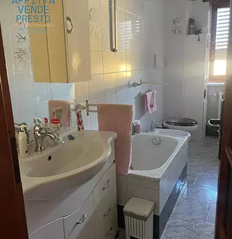 Foto annuncio 12