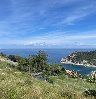Foto annuncio 4