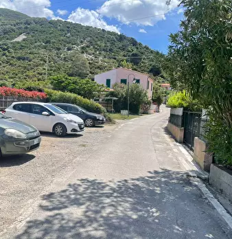 Foto annuncio 6