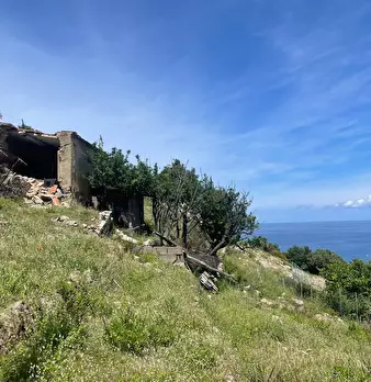 Foto annuncio 8