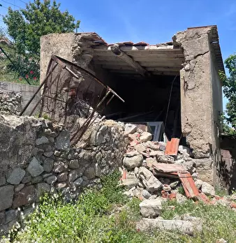 Foto annuncio 9
