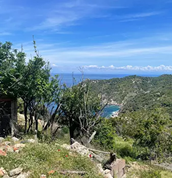 Foto annuncio 11