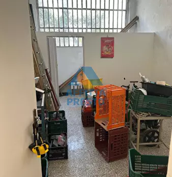 Foto annuncio 14