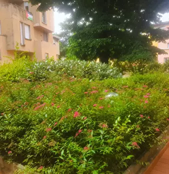 Foto annuncio 4