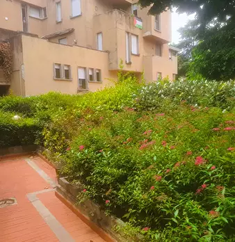 Foto annuncio 5