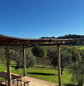 Foto annuncio 6