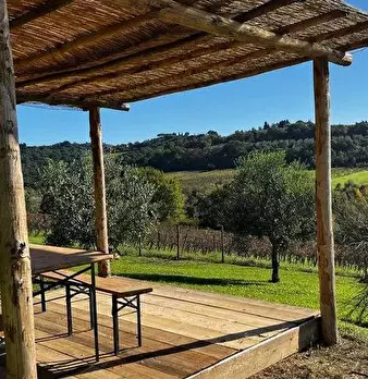 Foto annuncio 5