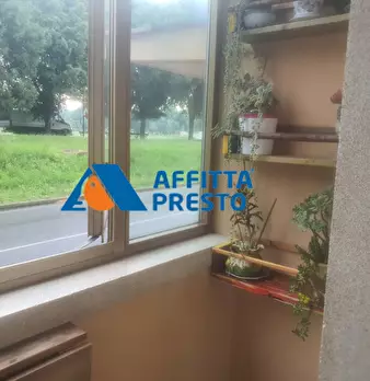 Foto annuncio 7