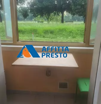 Foto annuncio 9