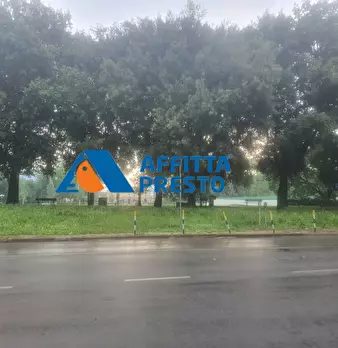 Foto annuncio 29