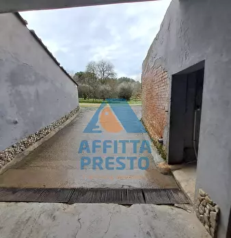 Foto annuncio 9