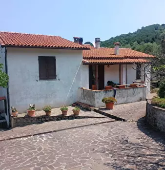 Foto annuncio 4
