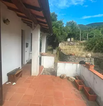 Foto annuncio 5