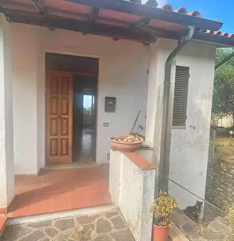 Foto annuncio 6