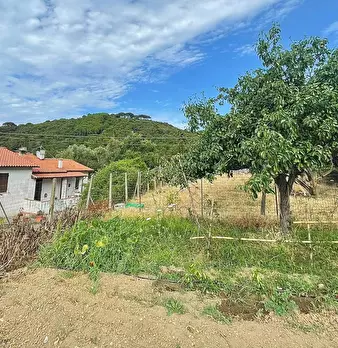 Foto annuncio 7