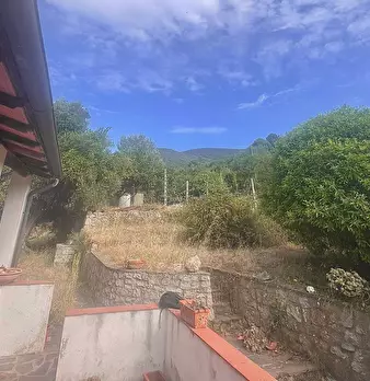 Foto annuncio 9