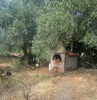 Foto annuncio 12