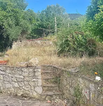 Foto annuncio 13