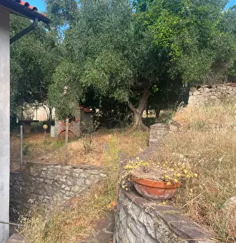 Foto annuncio 20