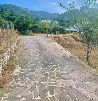 Foto annuncio 21