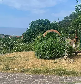 Foto annuncio 25