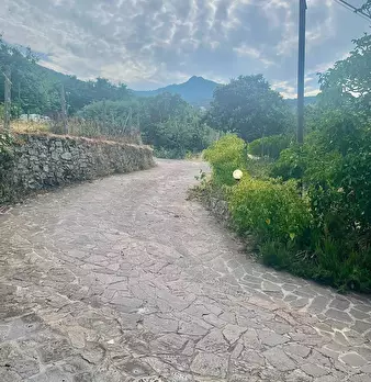Foto annuncio 27