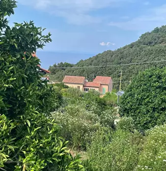 Foto annuncio 28
