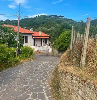 Foto annuncio 29