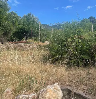 Foto annuncio 30