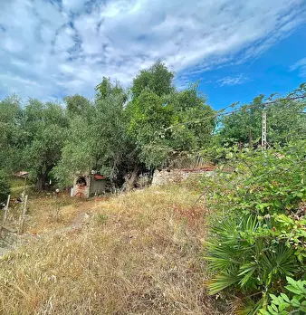 Foto annuncio 31
