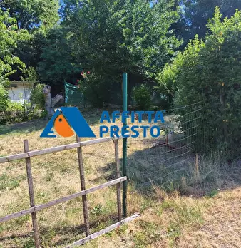 Foto annuncio 17