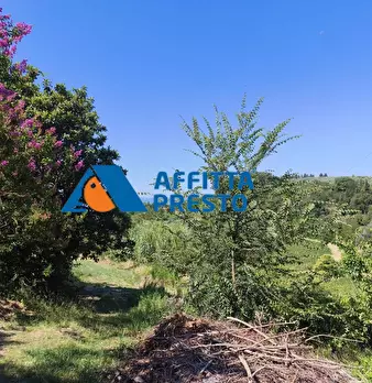 Foto annuncio 18