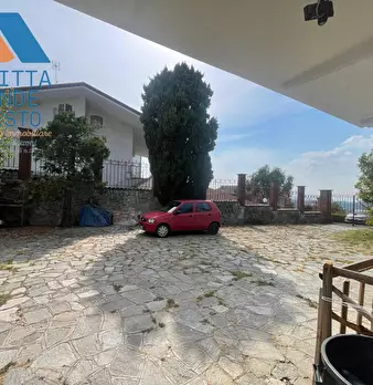 Foto annuncio 31