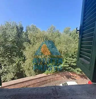 Foto annuncio 16