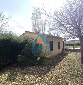 Foto annuncio 6