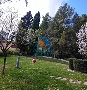 Foto annuncio 12