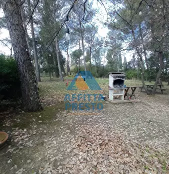 Foto annuncio 9