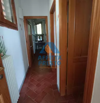 Foto annuncio 12