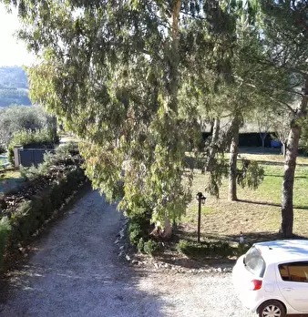 Foto annuncio 14