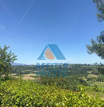 Foto annuncio 6