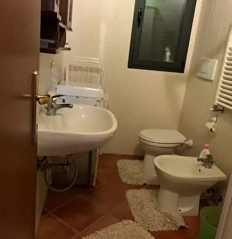 Foto annuncio 7