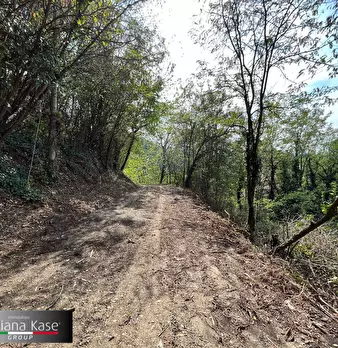Foto annuncio 22