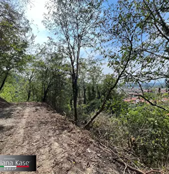 Foto annuncio 23